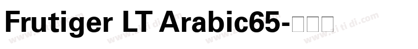 Frutiger LT Arabic65字体转换
